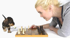 Eliminate Your Competition Eliminate Your Competition